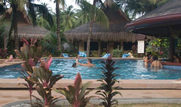 Aqua-Landia Resort Dauin Eksteriør bilde